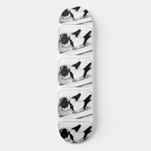 Skateboard Monjas 1980