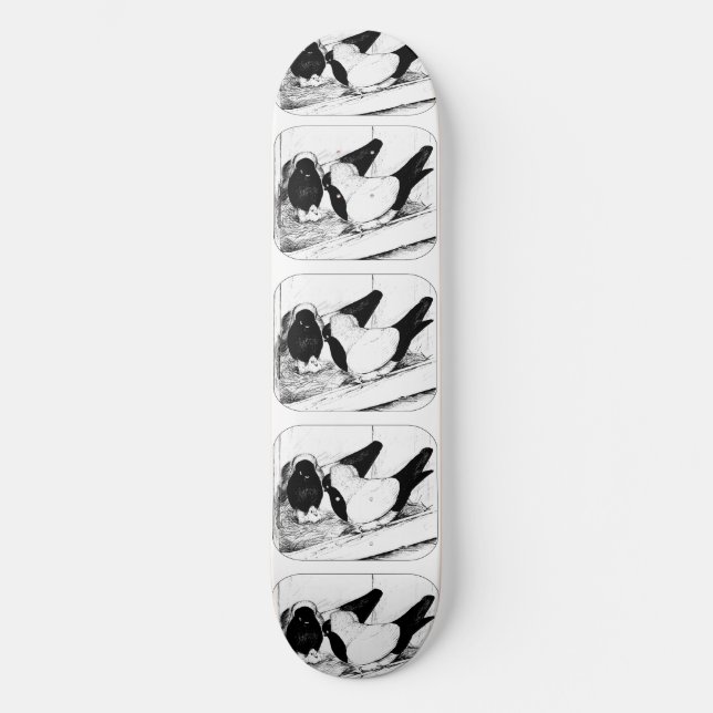 Skateboard Monjas 1980 (Anverso)