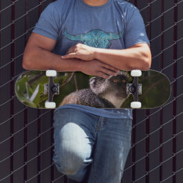 Skateboard Mono azul, Zanzíbar