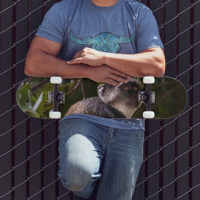 Skateboard Mono azul, Zanzíbar (Exterior 3)