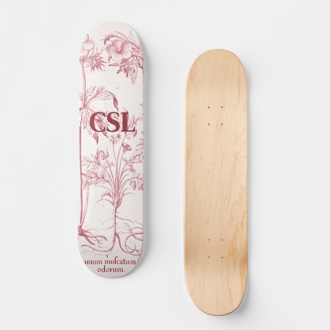 Skateboard Monograma de Arte Botánico Rosa (Anverso)