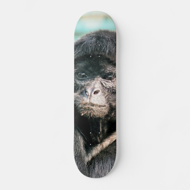 SKATEBOARD MONOS (Anverso)
