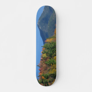 Skateboard Montaña blanca sobre pequeño estanque de tramas