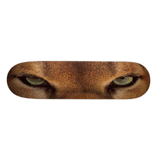 Skateboard Montaña traviesa GRANDE del CAT SKATEBOARD-6 -