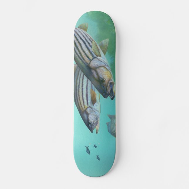 Skateboard Morone atlántico Saxatilis de los pescados de la (Anverso)