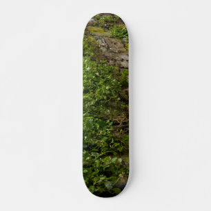 Skateboard Muro De Ivy