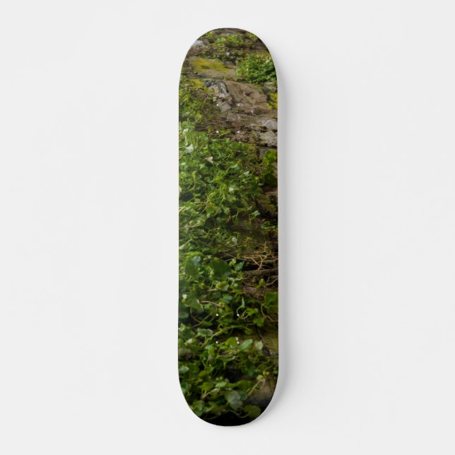 Skateboard Muro De Ivy (Anverso )