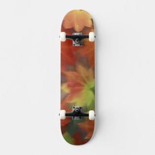 Skateboard NA, EE. UU., Washington, Issaquah, Arce de vid