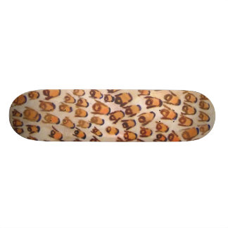Skateboard nación hassid