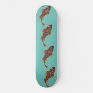 Skateboard - Natación Koi