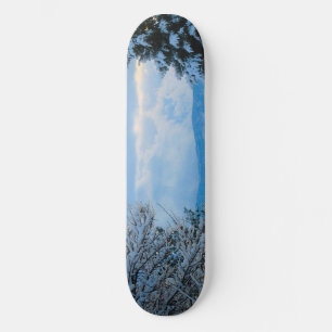 Skateboard Nieve sobre pinos en montañas rocosas de Colorado