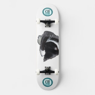 Skateboard No puedo ni siquiera ahora mismo