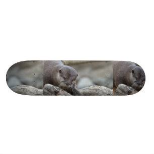 Skateboard Nutria adorable