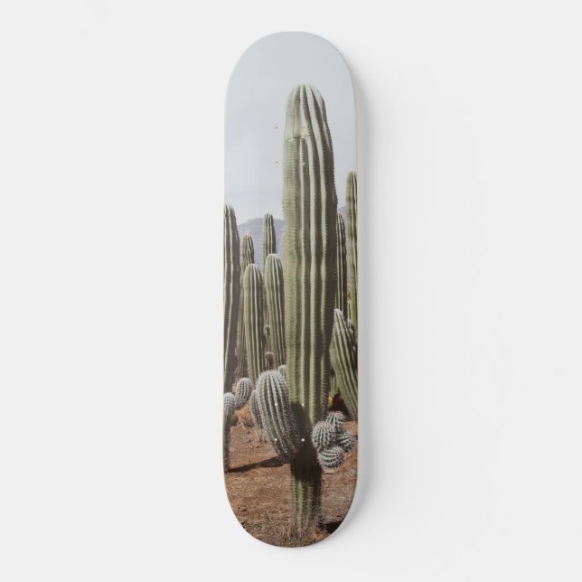 Skateboard Oasis de Cactus #1 #pared #decoración #arte (Anverso)