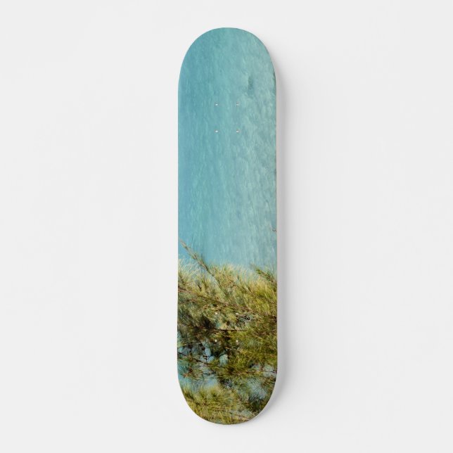 Skateboard Océano (Anverso )