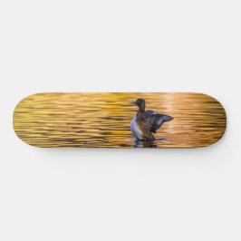 Skateboard Ojo dorado en un lago dorado