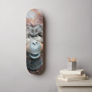SKATEBOARD ORANGUTANES