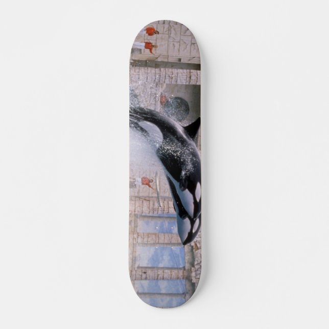 Skateboard Orca (Anverso )