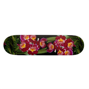 Skateboard Orquídea hermosa, híbrido del miltonia