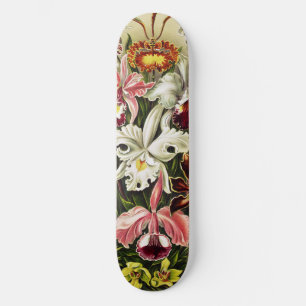 Skateboard Orquídeas Orchideae Denusblumen Ernst Haeckel