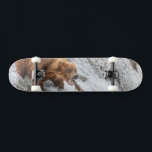 Skateboard Oso pardo atrapa salmón rojo<br><div class="desc">Osos pardos pescan salmón rojo en las cataratas del río Brooks,  Parque Nacional Katmai,  suroeste de Alaska.</div>