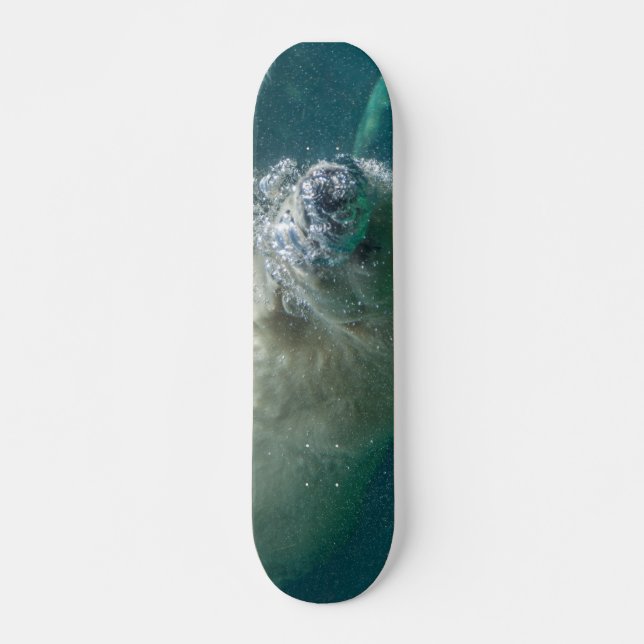 Skateboard Oso polar bajo el agua (Anverso )