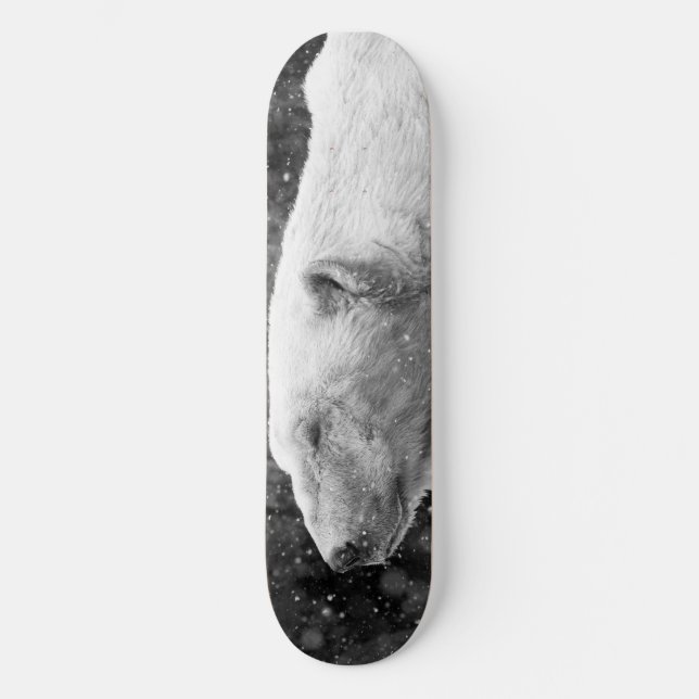 Skateboard Oso polar pacífico (Anverso)