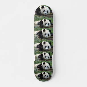 SKATEBOARD OSOS PANDA