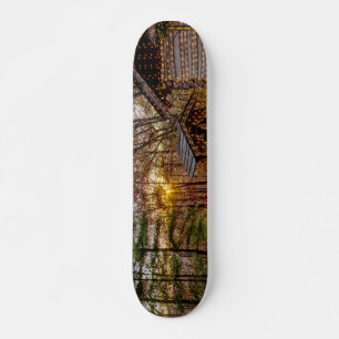 Skateboard Otoño Woods Sunset
