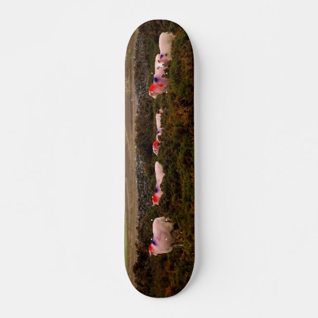 Skateboard Ovejas coloreadas (Anverso )