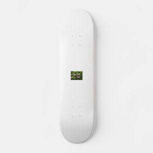 Skateboard página inicial de kinafex zazzle.com y mercado