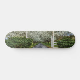 Skateboard Página principal de primavera