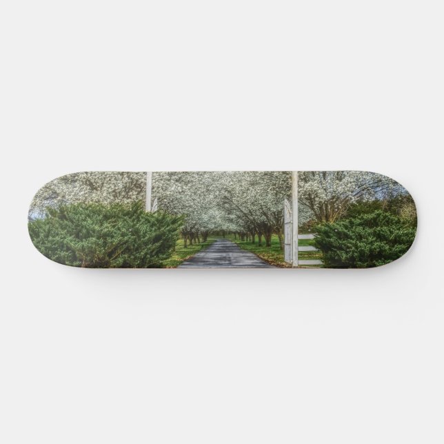 Skateboard Página principal de primavera (Horz)