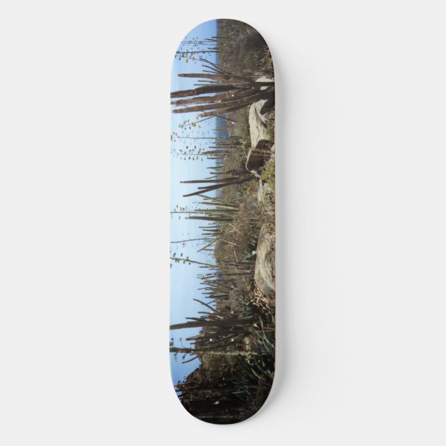 Skateboard Paisaje De Aruba Con Cactus (Anverso)