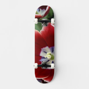 Skateboard Países Bajos (también conocido como Holanda), Liss