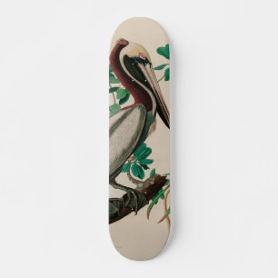 Skateboard Pájaros pelícanos marrones de América Impresió