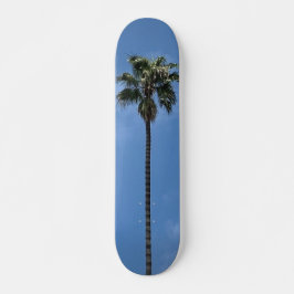Skateboard Palmera de Cielo Azul