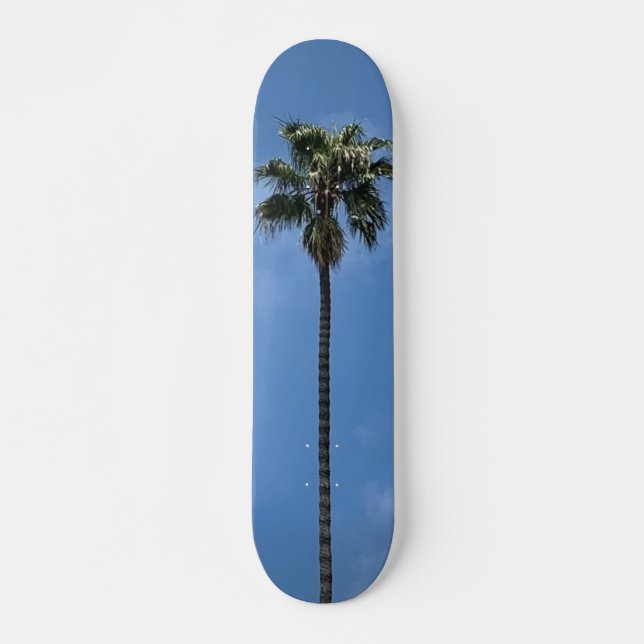 Skateboard Palmera de Cielo Azul (Anverso )