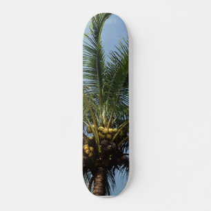 Skateboard Palmera del coco