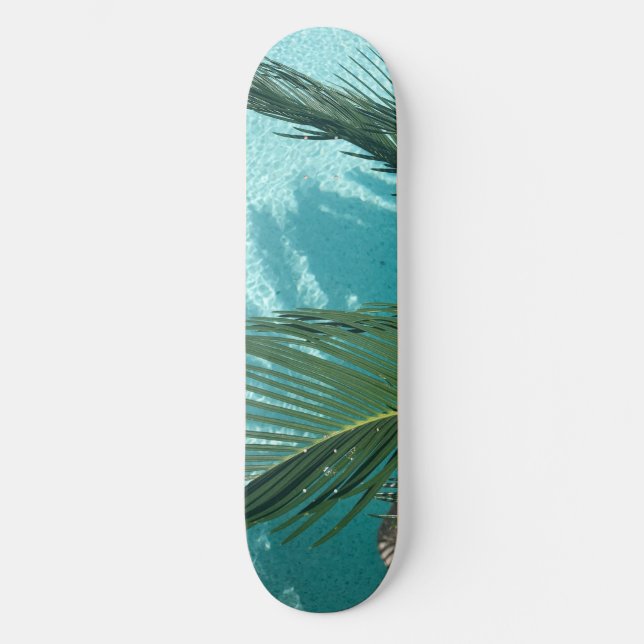 Skateboard palmera sobre el agua (Anverso)