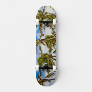 Skateboard Palmeras de coco (Cocos nucifera) balanceándose en