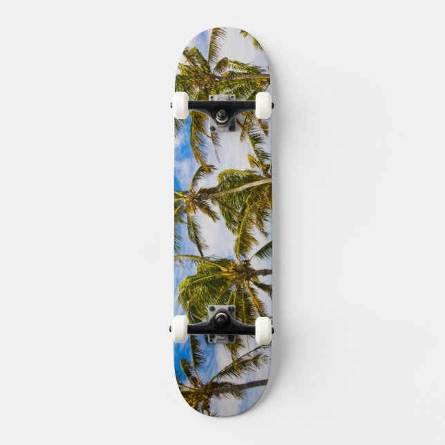 Skateboard Palmeras de coco (Cocos nucifera) balanceándose en (Anverso)