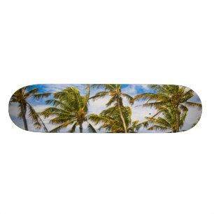 Skateboard Palmeras de coco (Cocos nucifera) que se mecen