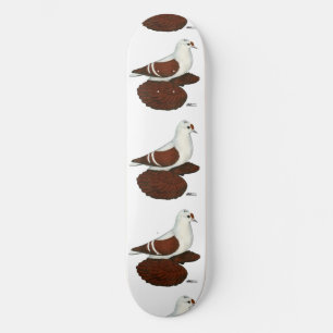 Skateboard Paloma de Ala Roja