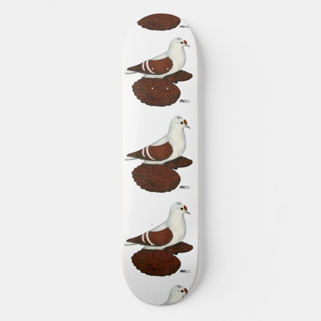 Skateboard Paloma de Ala Roja (Anverso)