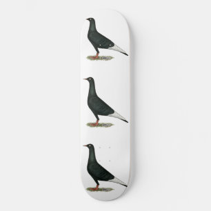 Skateboard Paloma negra voladora