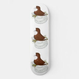 Skateboard Paloma Trompetera Cabeza Calva Roja