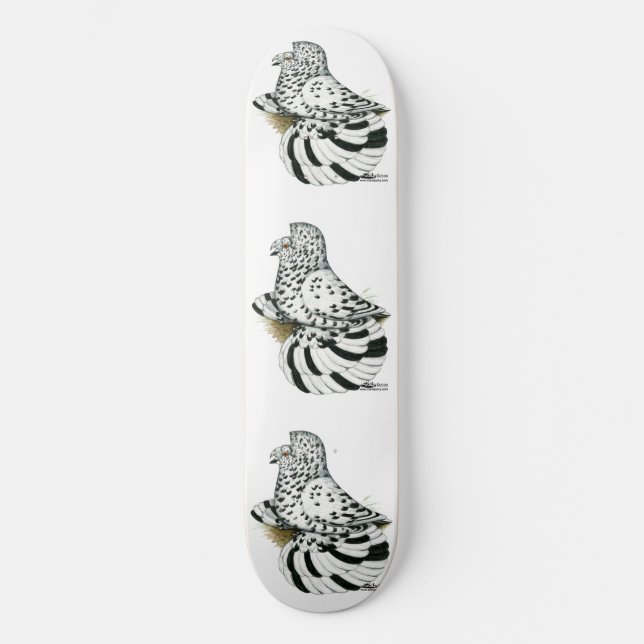 Skateboard Paloma Trompetera Splash Ligero (Anverso)