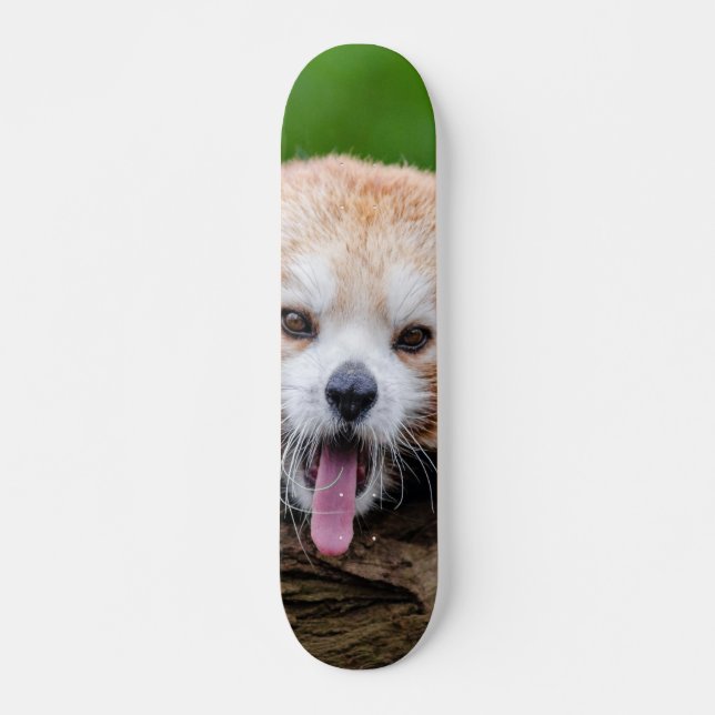 Skateboard Panda roja (Anverso )