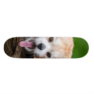 Skateboard Panda roja
